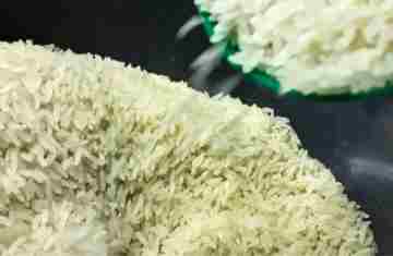  Conab anuncia R$ 300 milhões para produtores de arroz na safra 2025/26 